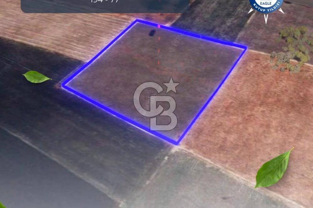 BALIKESİR / ALTIEYLÜL / HALALCA MH.'DE 8.729 M² FIRSAT TARLA