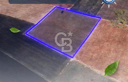 BALIKESİR / ALTIEYLÜL / HALALCA MH.'DE 8.729 M² FIRSAT TARLA