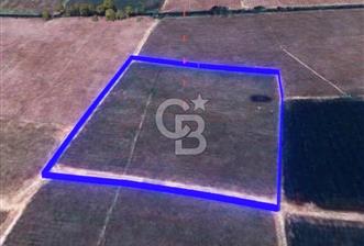 BALIKESİR / ALTIEYLÜL / HALALCA MH.'DE 4.886 M² FIRSAT TARLA
