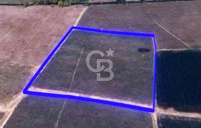 BALIKESİR / ALTIEYLÜL / HALALCA MH.'DE 4.886 M² FIRSAT TARLA