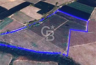 BALIKESİR / ALTIEYLÜL / OVAKÖY MH.'DE 34.100 M² FIRSAT TARLA