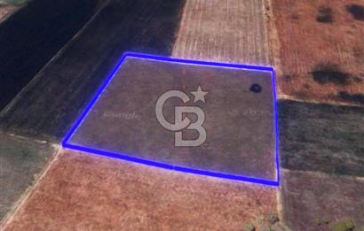 BALIKESİR / ALTIEYLÜL / HALALCA MH.'DE 8.729 M² FIRSAT TARLA