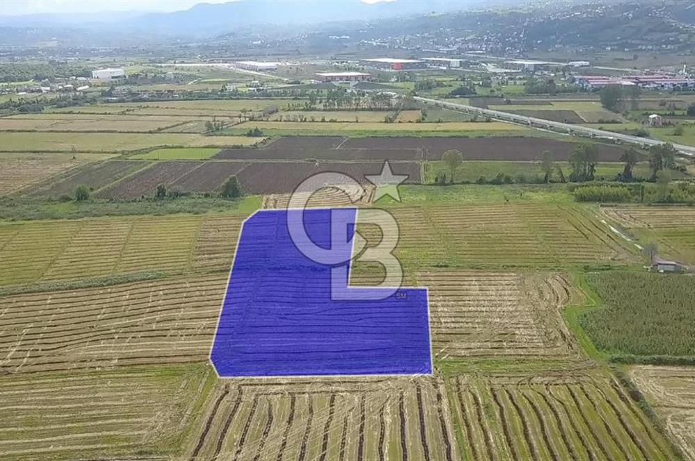 CB.AMAZON'DAN TEKKEKÖY SANAYİ BÖLGESİNDE TİCARİ İMARLI ARSA