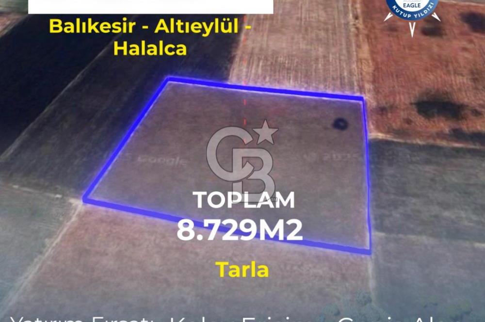 BALIKESİR / ALTIEYLÜL / HALALCA MH.'DE 8.729 M² FIRSAT TARLA