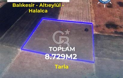 BALIKESİR / ALTIEYLÜL / HALALCA MH.'DE 8.729 M² FIRSAT TARLA