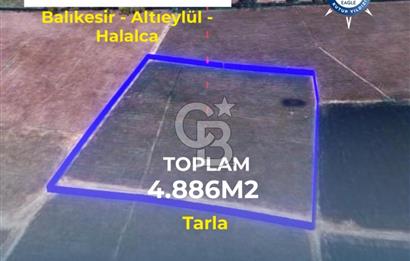 BALIKESİR / ALTIEYLÜL / HALALCA MH.'DE 4.886 M² FIRSAT TARLA