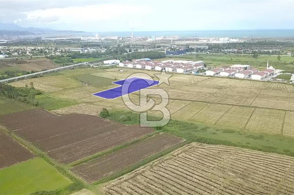 CB.AMAZON'DAN TEKKEKÖY SANAYİ BÖLGESİNDE TİCARİ İMARLI ARSA