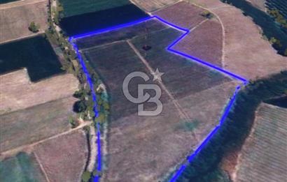 BALIKESİR / ALTIEYLÜL / OVAKÖY MH.'DE 34.100 M² FIRSAT TARLA