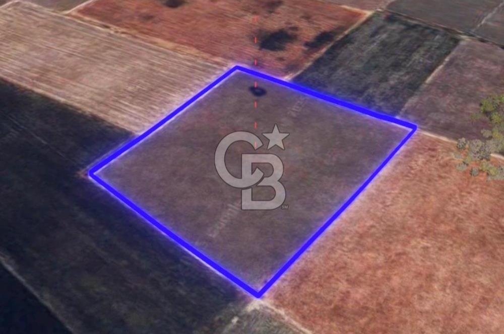 BALIKESİR / ALTIEYLÜL / HALALCA MH.'DE 8.729 M² FIRSAT TARLA