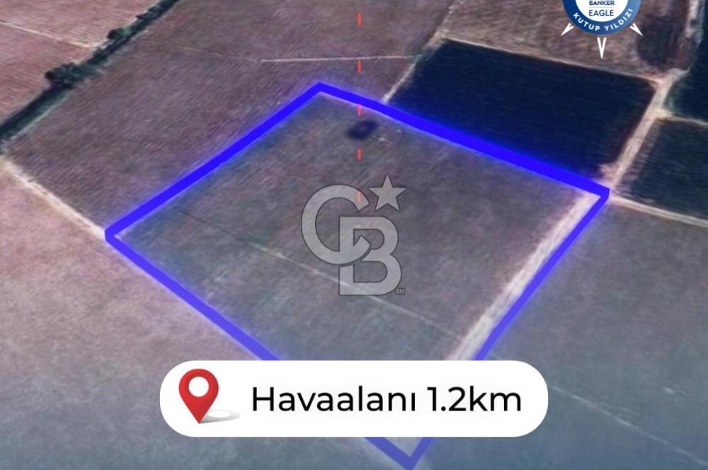 BALIKESİR / ALTIEYLÜL / HALALCA MH.'DE 4.886 M² FIRSAT TARLA