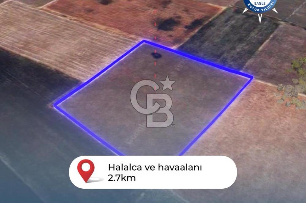 BALIKESİR / ALTIEYLÜL / HALALCA MH.'DE 8.729 M² FIRSAT TARLA