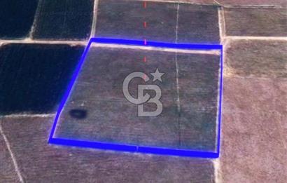 BALIKESİR / ALTIEYLÜL / HALALCA MH.'DE 4.886 M² FIRSAT TARLA