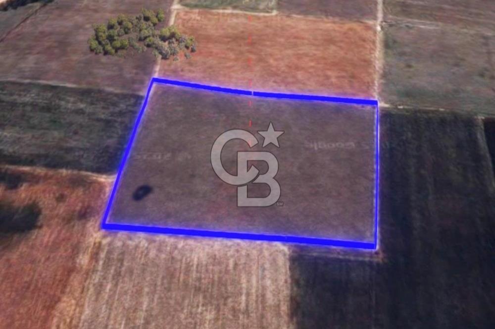 BALIKESİR / ALTIEYLÜL / HALALCA MH.'DE 8.729 M² FIRSAT TARLA