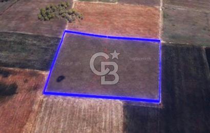 BALIKESİR / ALTIEYLÜL / HALALCA MH.'DE 8.729 M² FIRSAT TARLA