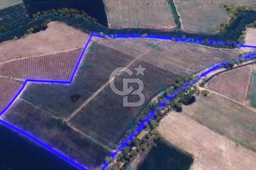 BALIKESİR / ALTIEYLÜL / OVAKÖY MH.'DE 34.100 M² FIRSAT TARLA