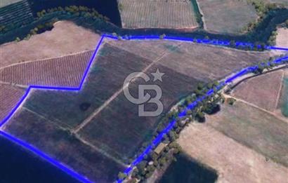 BALIKESİR / ALTIEYLÜL / OVAKÖY MH.'DE 34.100 M² FIRSAT TARLA