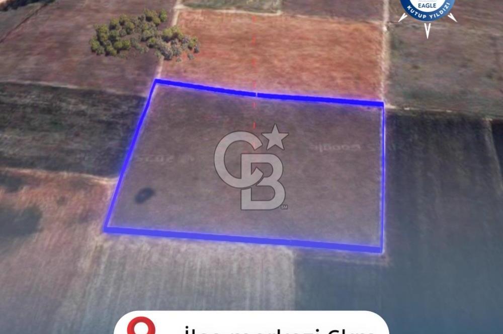 BALIKESİR / ALTIEYLÜL / HALALCA MH.'DE 8.729 M² FIRSAT TARLA