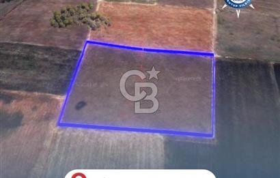 BALIKESİR / ALTIEYLÜL / HALALCA MH.'DE 8.729 M² FIRSAT TARLA