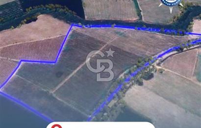 BALIKESİR / ALTIEYLÜL / OVAKÖY MH.'DE 34.100 M² FIRSAT TARLA