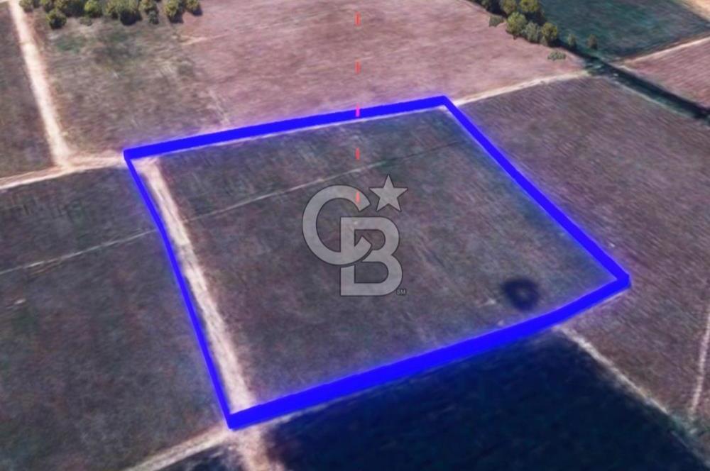 BALIKESİR / ALTIEYLÜL / HALALCA MH.'DE 4.886 M² FIRSAT TARLA
