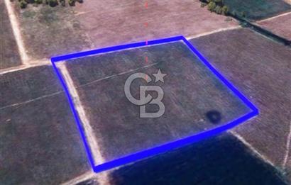 BALIKESİR / ALTIEYLÜL / HALALCA MH.'DE 4.886 M² FIRSAT TARLA