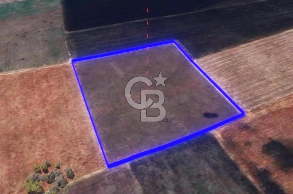 BALIKESİR / ALTIEYLÜL / HALALCA MH.'DE 8.729 M² FIRSAT TARLA