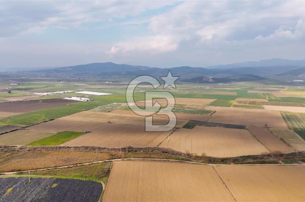 882.000 M2 YÜKSEK GETİRİSİ OLAN TARLA