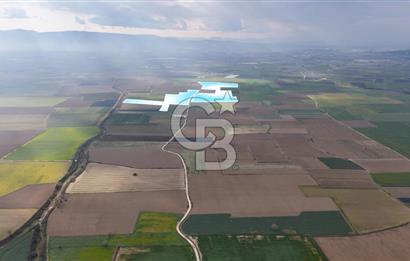 375 DÖNÜM DÜZ ARAZİ