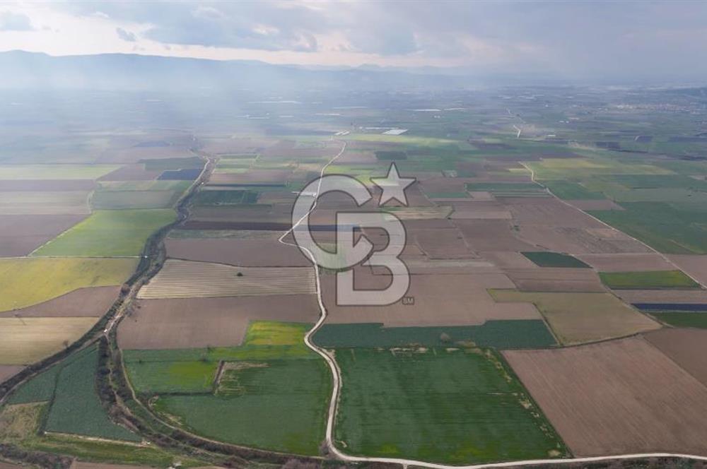 882.000 M2 YÜKSEK GETİRİSİ OLAN TARLA