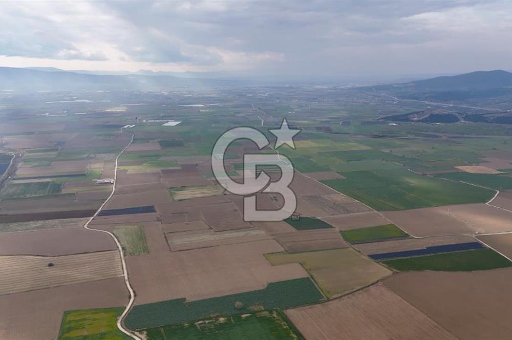 375 DÖNÜM DÜZ ARAZİ