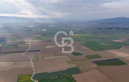 375 DÖNÜM DÜZ ARAZİ