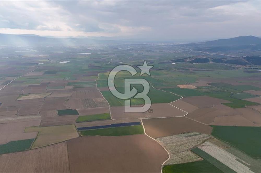 375 DÖNÜM DÜZ ARAZİ