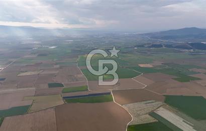 375 DÖNÜM DÜZ ARAZİ