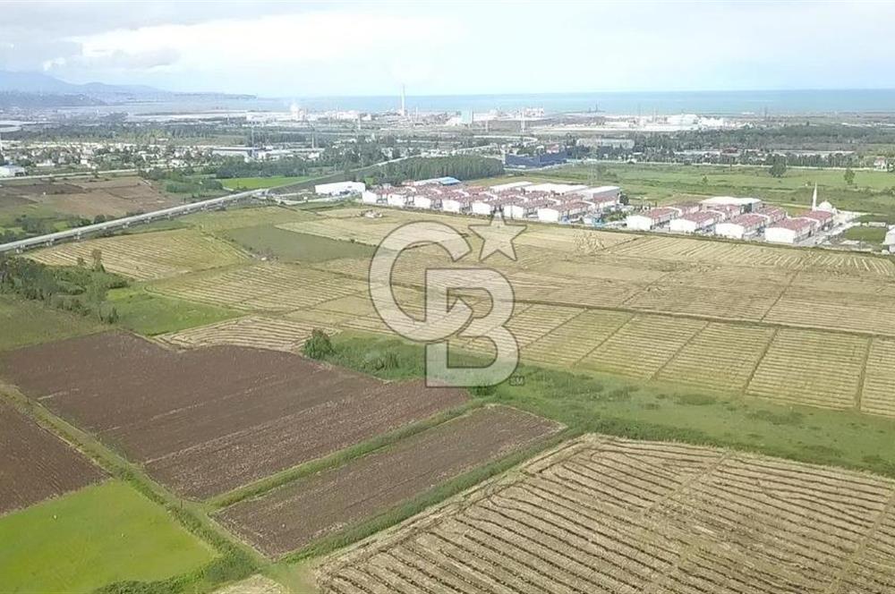 CB.AMAZON'DAN TEKKEKÖY SANAYİ BÖLGESİNDE TİCARİ İMARLI ARSA
