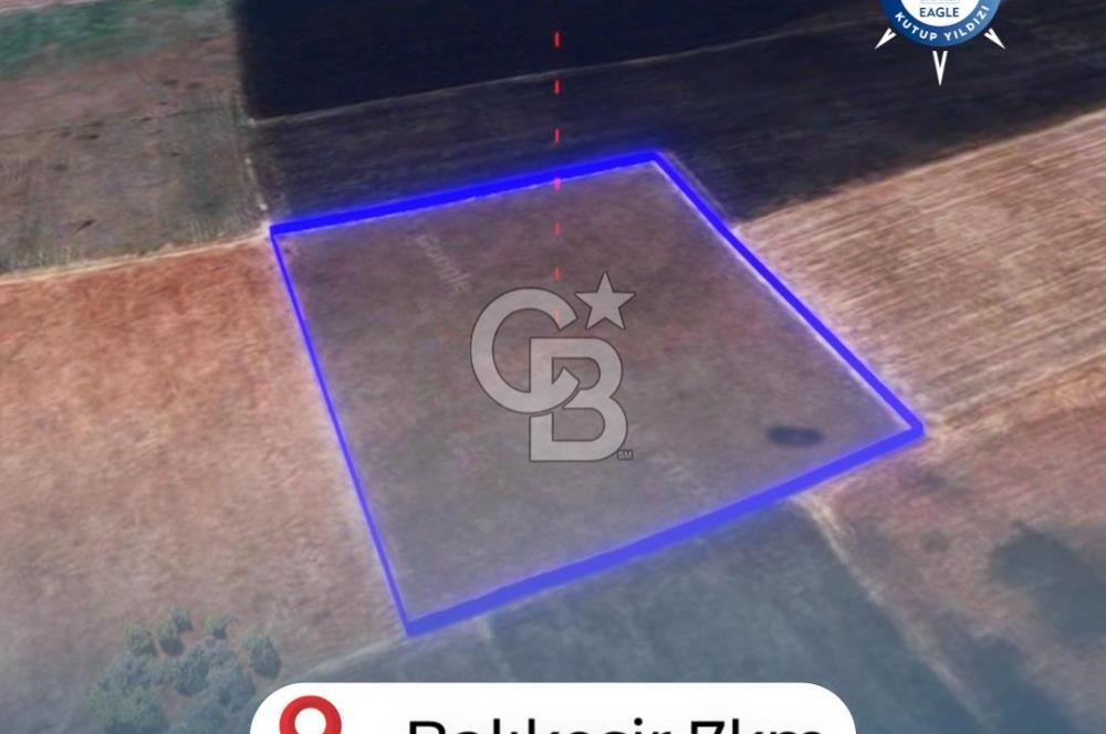 BALIKESİR / ALTIEYLÜL / HALALCA MH.'DE 8.729 M² FIRSAT TARLA