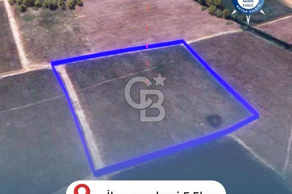 BALIKESİR / ALTIEYLÜL / HALALCA MH.'DE 4.886 M² FIRSAT TARLA