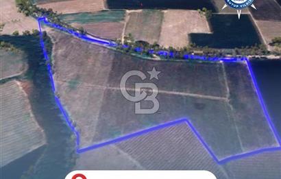 BALIKESİR / ALTIEYLÜL / OVAKÖY MH.'DE 34.100 M² FIRSAT TARLA