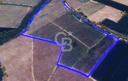 BALIKESİR / ALTIEYLÜL / OVAKÖY MH.'DE 34.100 M² FIRSAT TARLA