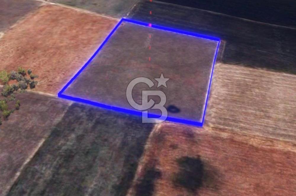 BALIKESİR / ALTIEYLÜL / HALALCA MH.'DE 8.729 M² FIRSAT TARLA