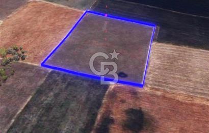 BALIKESİR / ALTIEYLÜL / HALALCA MH.'DE 8.729 M² FIRSAT TARLA