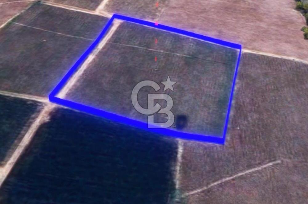 BALIKESİR / ALTIEYLÜL / HALALCA MH.'DE 4.886 M² FIRSAT TARLA