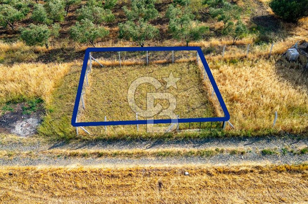 Foça Yenibağarasında Satılık Tarla