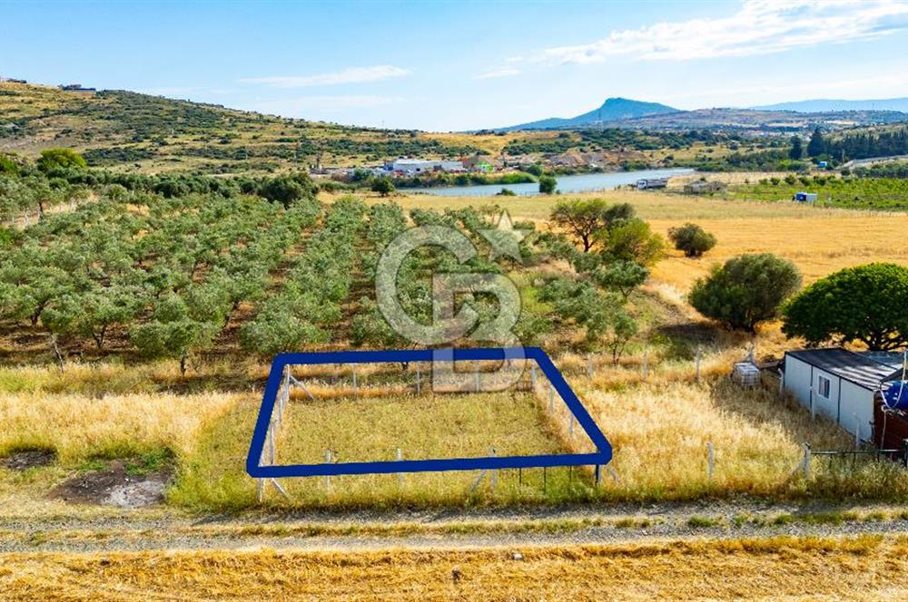 Foça Yenibağarasında Satılık Tarla