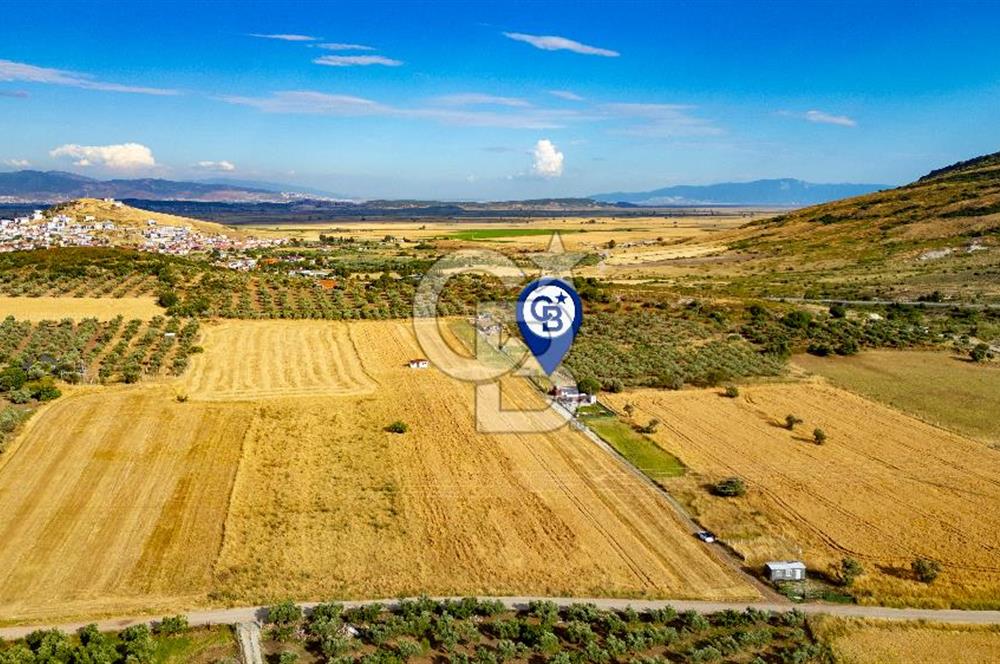 Foça Yenibağarasında Satılık Tarla