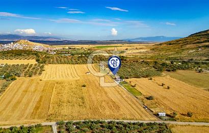 Foça Yenibağarasında Satılık Tarla