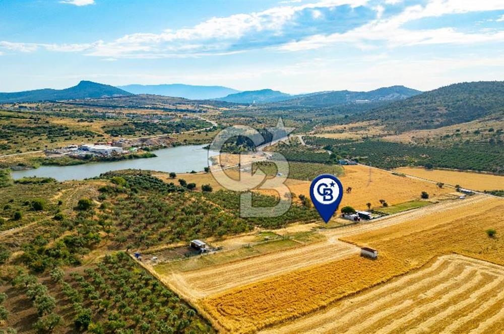 Foça Yenibağarasında Satılık Tarla
