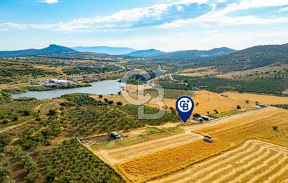 Foça Yenibağarasında Satılık Tarla