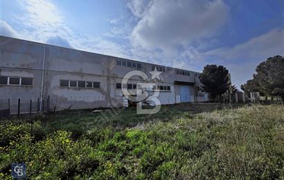 Denizli Gıda Çarşında Kiralık 1350Mt2 İdari Binalı Fabrika