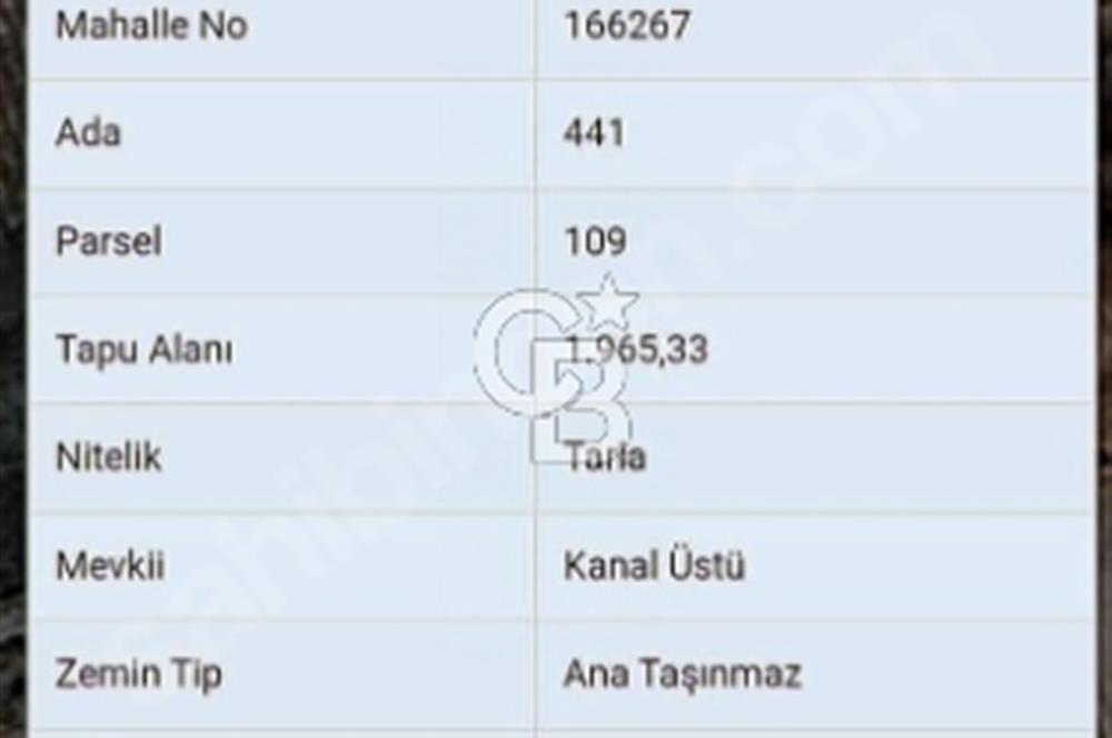 Denizli Acıpayam Kumafşarın'da 1965 Mt2 Satılık Tarla