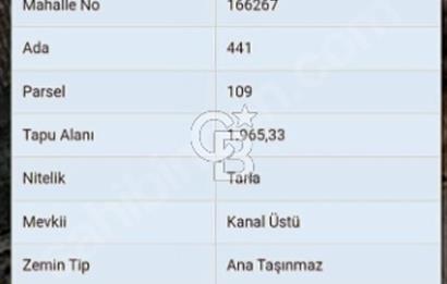 Denizli Acıpayam Kumafşarın'da 1965 Mt2 Satılık Tarla
